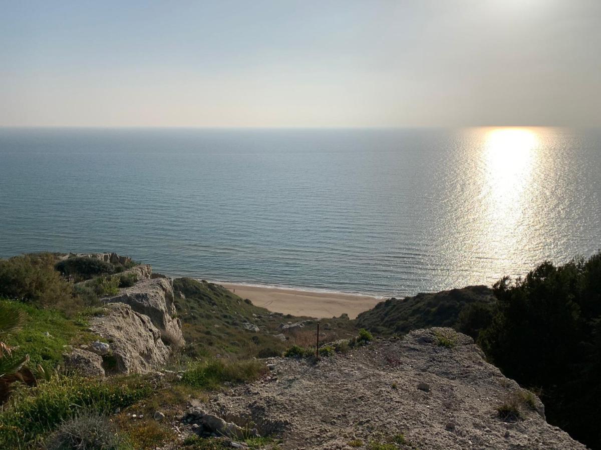 Villa Alfonso Con Vista Mare سيكوليانا مارينا المظهر الخارجي الصورة