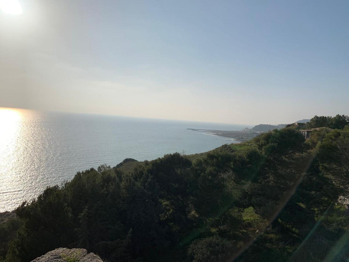 Villa Alfonso Con Vista Mare سيكوليانا مارينا المظهر الخارجي الصورة