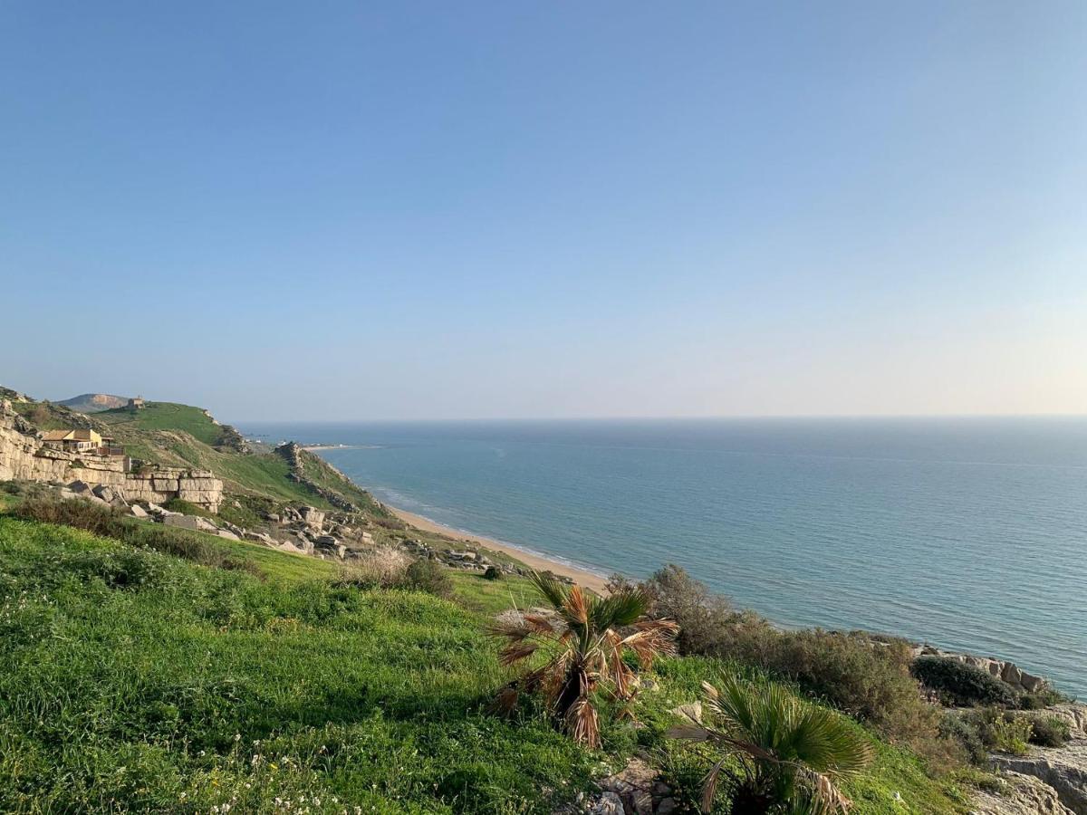 Villa Alfonso Con Vista Mare سيكوليانا مارينا المظهر الخارجي الصورة