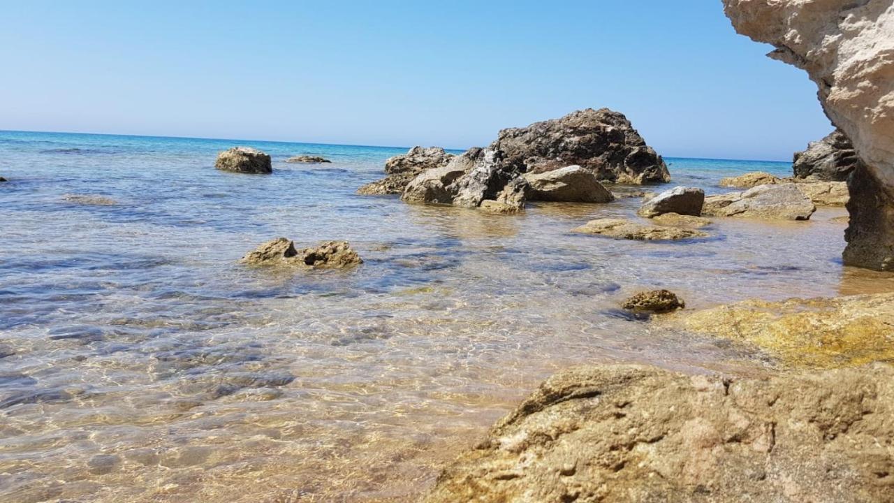 Villa Alfonso Con Vista Mare سيكوليانا مارينا المظهر الخارجي الصورة