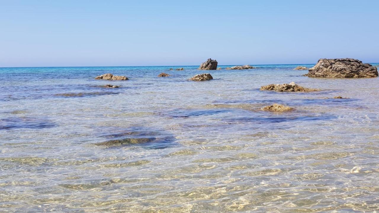 Villa Alfonso Con Vista Mare سيكوليانا مارينا المظهر الخارجي الصورة